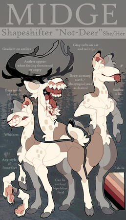 Reference Sheet / Custom Example. Includes default options, additional bust, alternate form (anthro), notes, and mini details (Paws)
